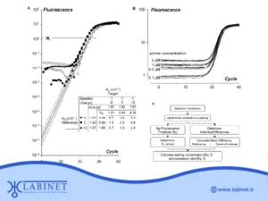 آنالیز و تحلیل نتایج pcr