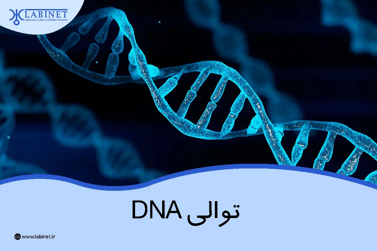 توالی dna