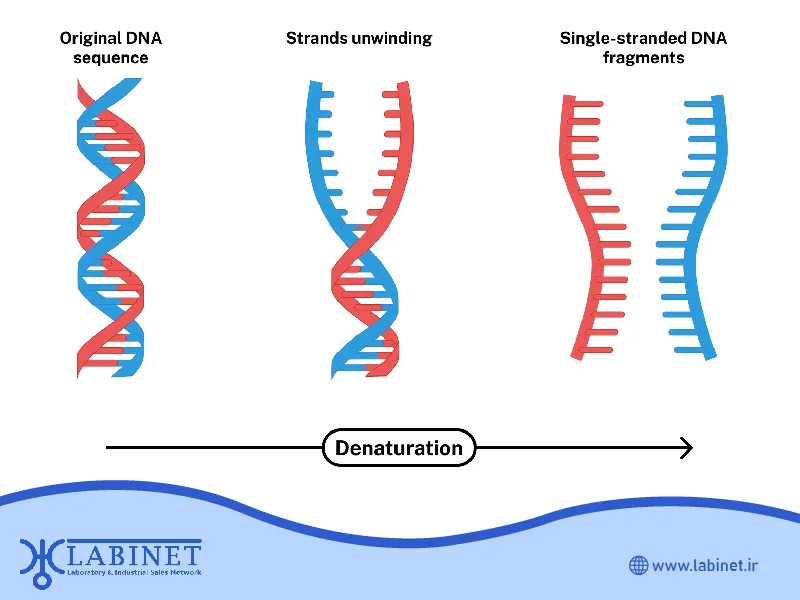 روش های تحلیل توالی dna در پزشکی