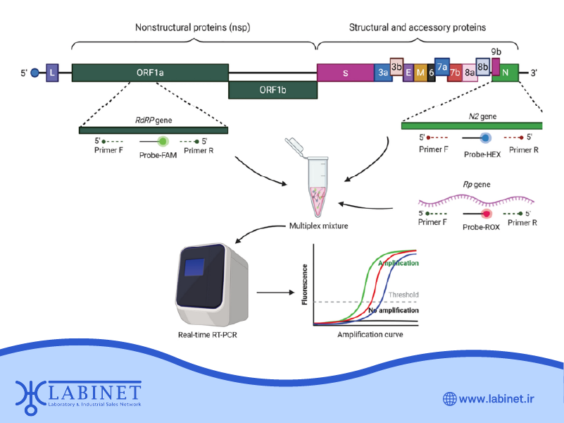 انواع پروتکل های pcr