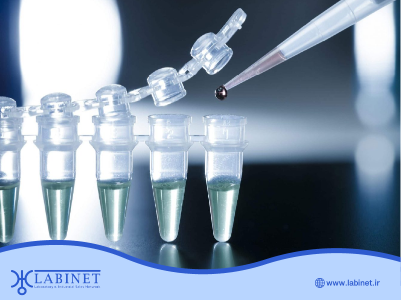 اصول کامل پروتکل های pcr