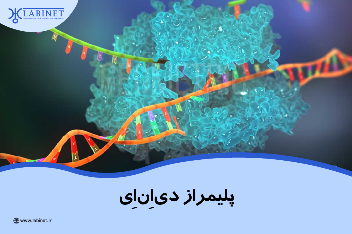 پلمیراز دی ان ای و ارتباط آن در دستگاه های پزشکی