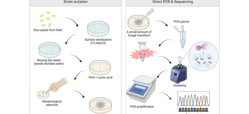 راهنمای انتخاب دستگاه pcr