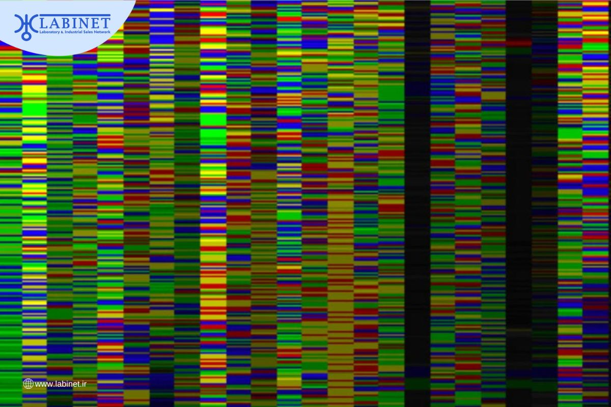 توالی dna