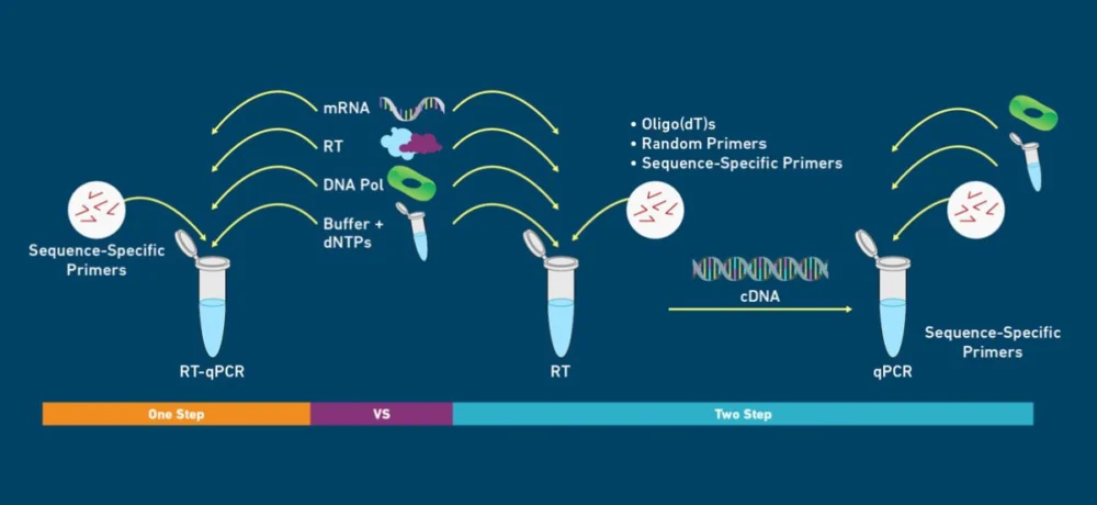 پروتکل های PCR