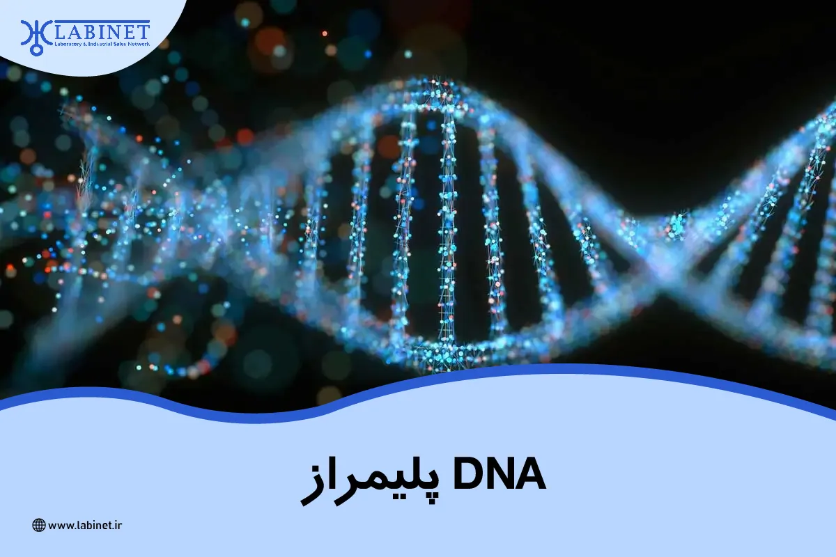 DNA پلمیراز چیست ؟