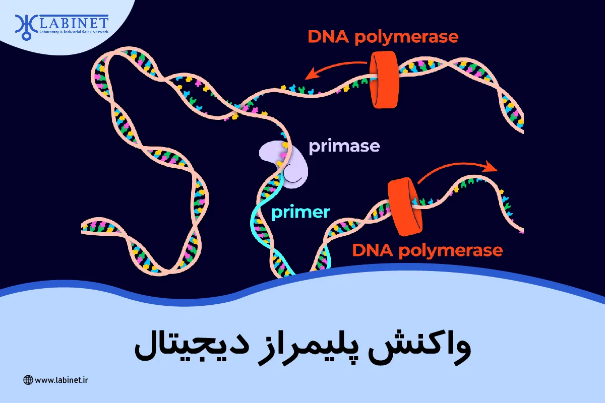 واکنش پلیمراز دیجیتال چیست ؟
