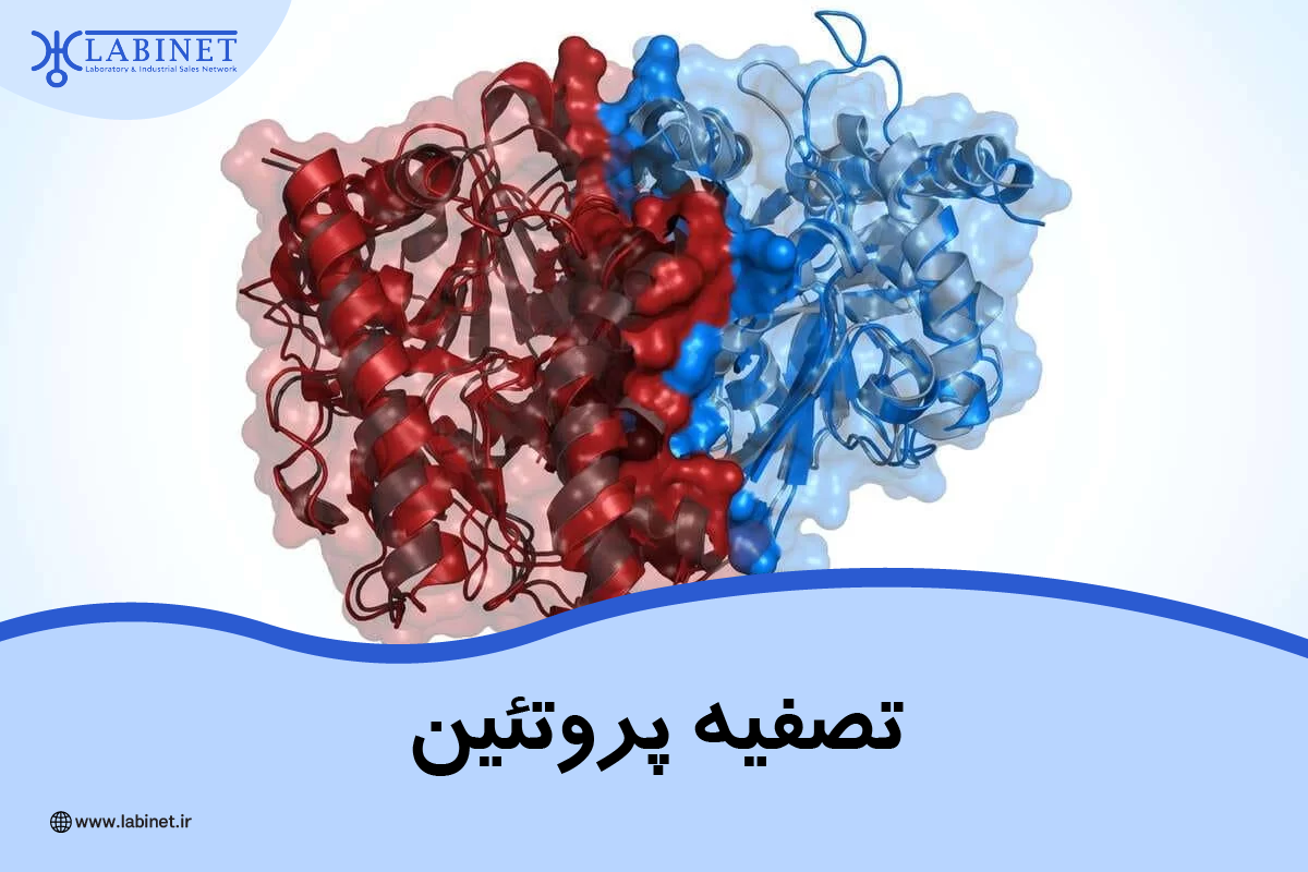 تصفیه پروتئین و نقش آن در صنعت پزشکی