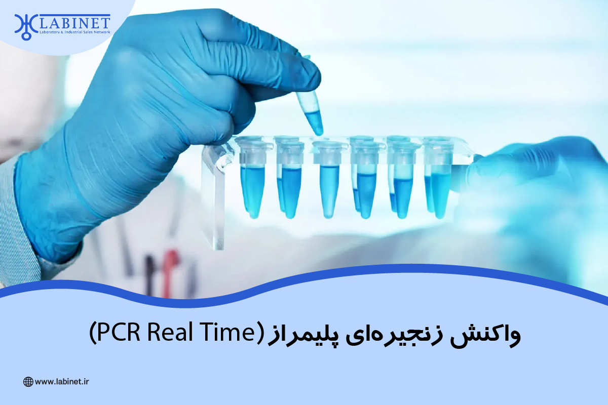 واکنش زنجیره ای پلیمراز (real time pcr)