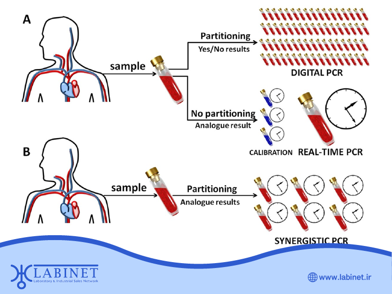 اهمیت تکنیک شبیه‌سازی DNA در تحقیقات دارویی و بیوتکنولوژی