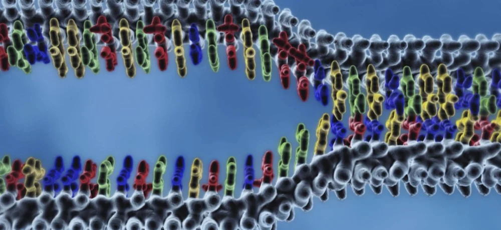 DNA پلمیراز چیست ؟