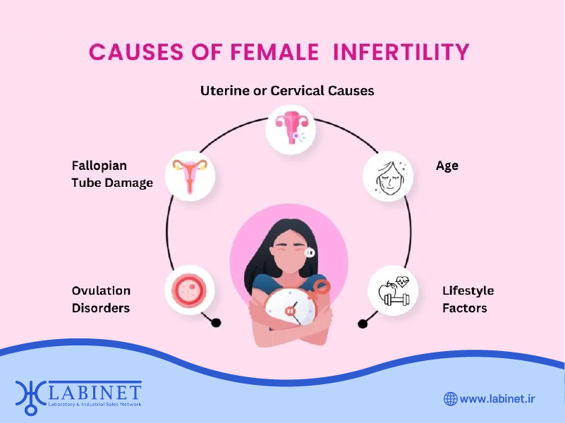 آخرین دستاوردهای پزشکی در درمان ناباروری: از IVF تا روش‌های نوین