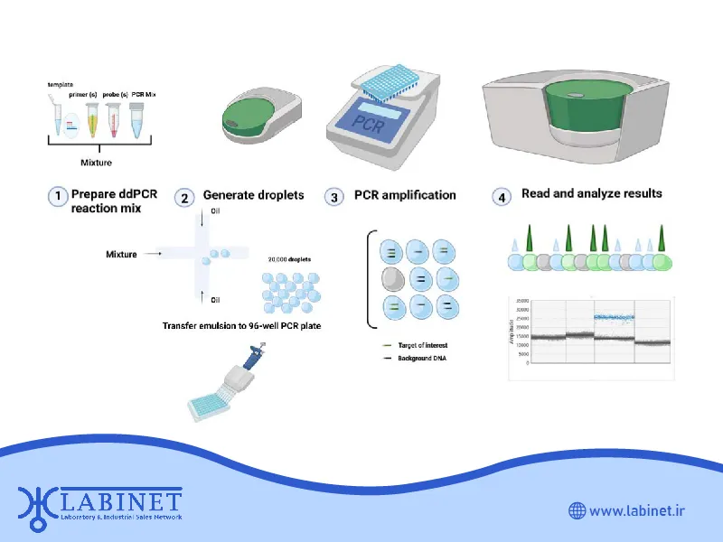 مقایسه تست PCR دیجیتال با روش‌های سنتی PCR