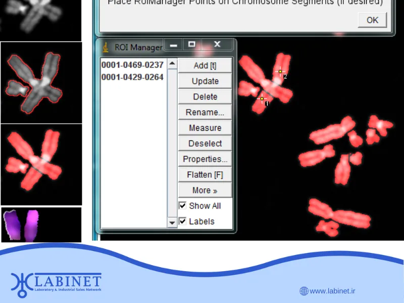 مقایسه بهترین نرم‌افزار های کاریوتایپ (Karyotype) موجود در بازار