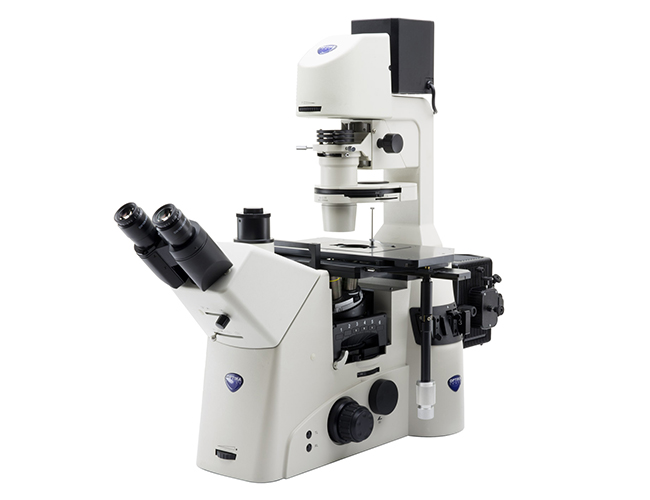 میکروسکوپ اینورت Optika سریIM-7