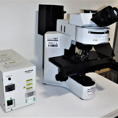 میکروسکوپ فلورسانس Olympus BX41