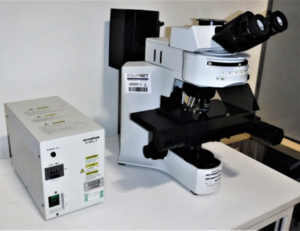 میکروسکوپ فلورسانس Olympus BX41