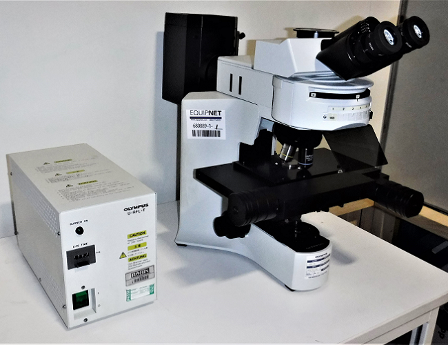 میکروسکوپ فلورسانس Olympus BX41