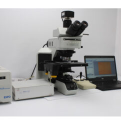 میکروسکوپ فلورسانس Olympus BX53