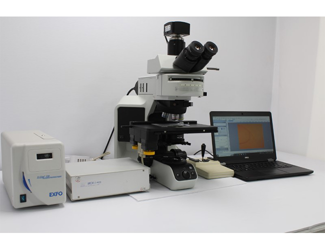میکروسکوپ فلورسانس Olympus BX53
